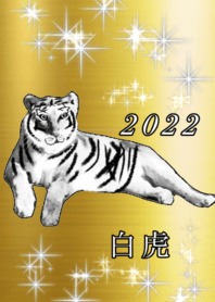 神　白虎　2022 金