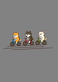 Shiba Inu riding a bicycle-Iron Gray
