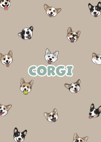 corgicorgi6 / tan