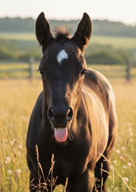 Tongue-Out Pony | Soothing Colors#2