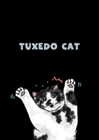 tuxedocat2 / black