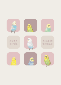 BIRDS - セキセイインコ 01 - ピンクグレー