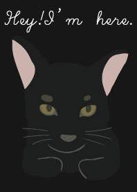 Black cat2023 LET'S DRAW