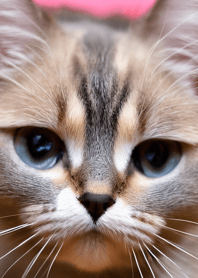 Nyanko Great Runaway#mngap515.