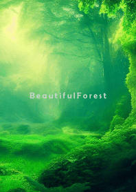 Beautiful Forest-NATURE 16