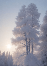 Various forms of winter snow 053E6C