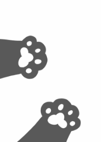 Black cat and Ladybug