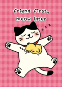 friend first, meow later.