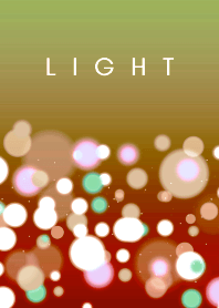 LIGHT THEME /41