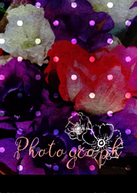 〓Photograph〓