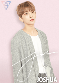 SEVENTEEN 着せかえ JOSHUA ジョシュア