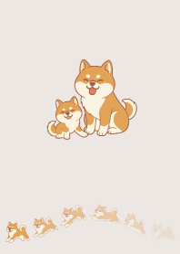 Active Shiba Inu1