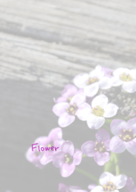 Flower Theme .