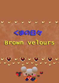Bear daily(Brown velours)