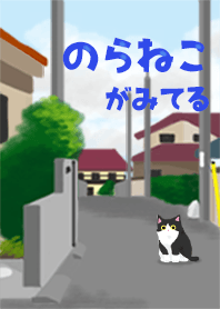 のらねこがみてる