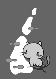 cat staring -5