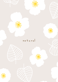 White flowers and leaves random26 Japan