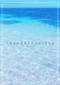 TRANSPARENT SEA -MEKYM- 23