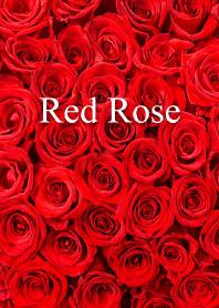 "Red Rose vol.10" theme