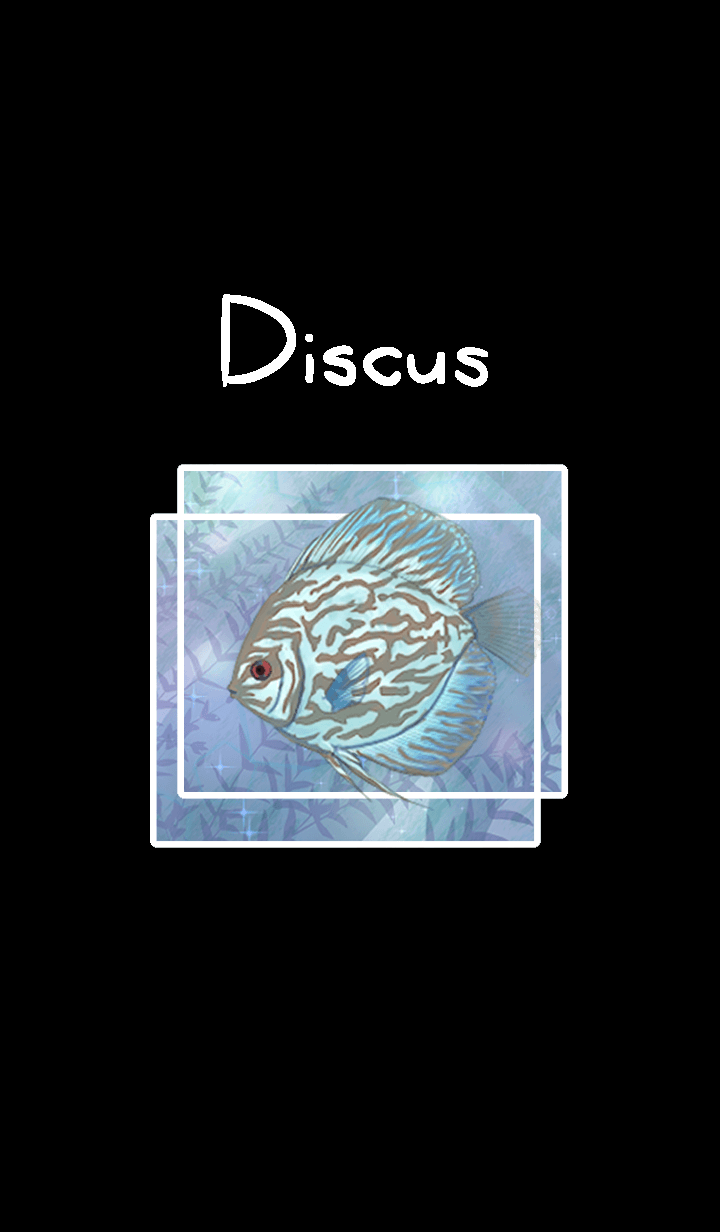 discus for JP