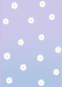 flowers bloom /gradation