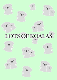 LOTS OF KOALAS/LIGHT MINT GREEN