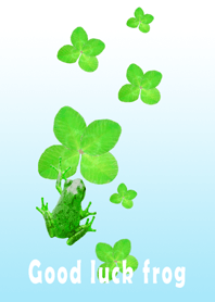 Lucky four leaf clover and frog