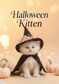 Halloween Kitten 2