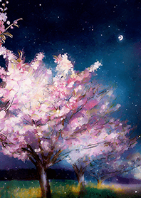 Beautiful night cherry blossoms#1128