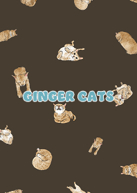 gingercats3 / chocolate