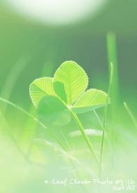 4-leaf clover Photo#9-16 Not AI