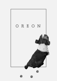ธีมไลน์ I'm OREON, Boston terrier!