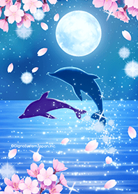 ธีมไลน์ Dolphins-SAKURA-