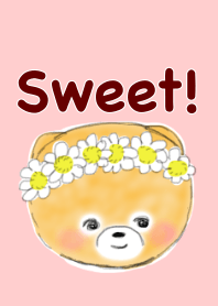 ธีมไลน์ Pomeranian sweet Theme