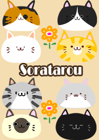 ธีมไลน์ Soratarou Scandinavian cute cat