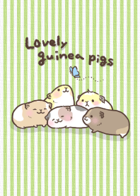 ธีมไลน์ Lovely guinea pigs